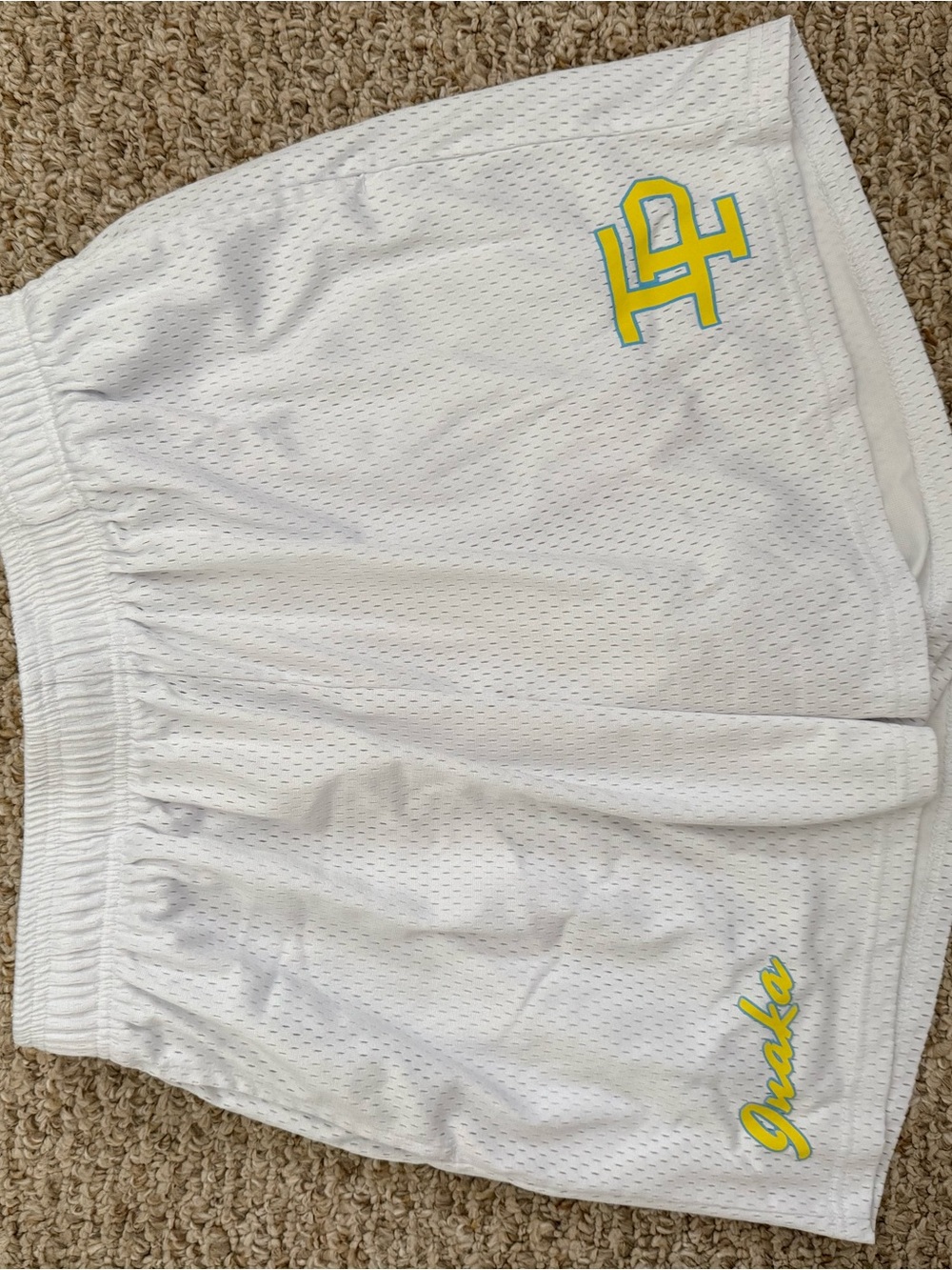Inaka power men’s mesh shorts